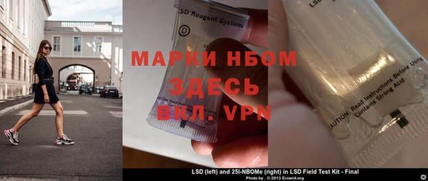 ПСИЛОЦИБИНОВЫЕ ГРИБЫ Бородино