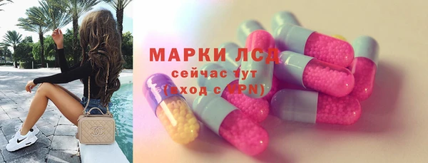 ПСИЛОЦИБИНОВЫЕ ГРИБЫ Бородино