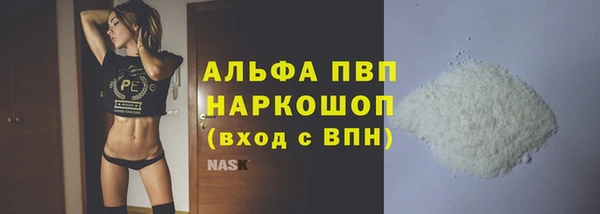 ПСИЛОЦИБИНОВЫЕ ГРИБЫ Бородино