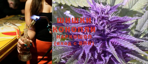 ПСИЛОЦИБИНОВЫЕ ГРИБЫ Бородино