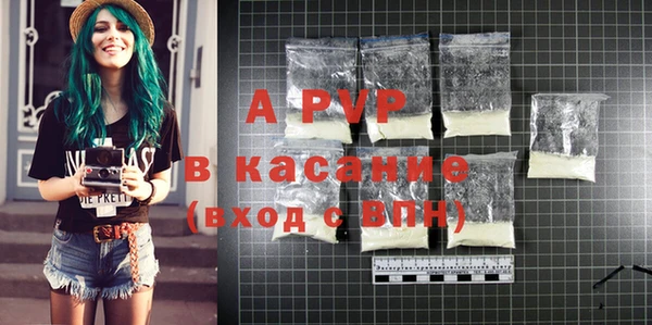 сатива Верея