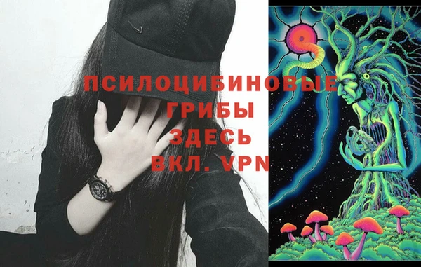 2c-b Бугульма