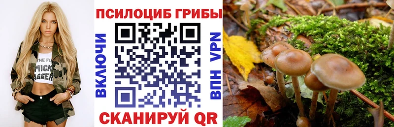 OMG зеркало  Дигора  Галлюциногенные грибы MAGIC MUSHROOMS 